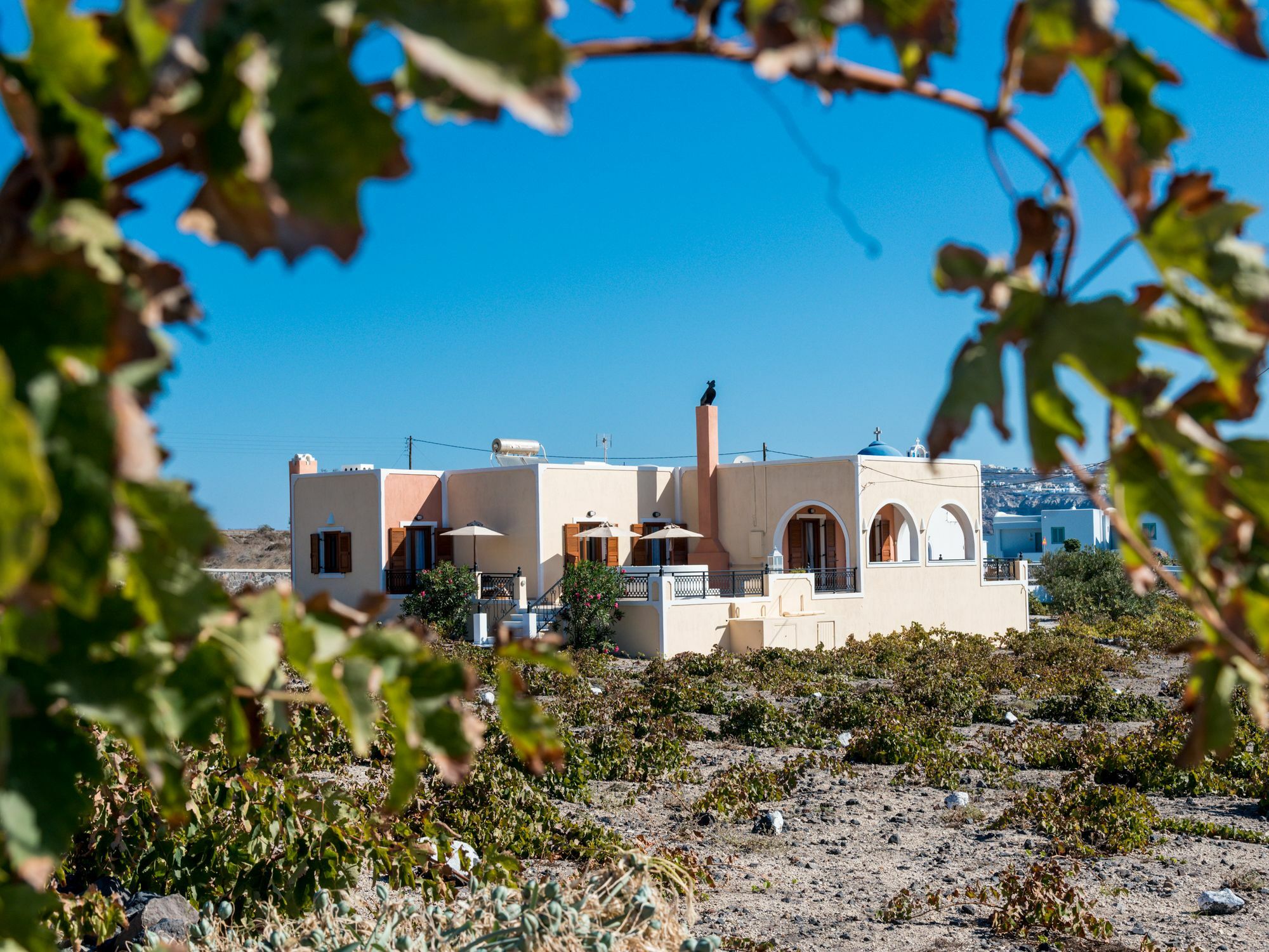Vineyard Exclusive Suites Akrotírion Eksteriør billede